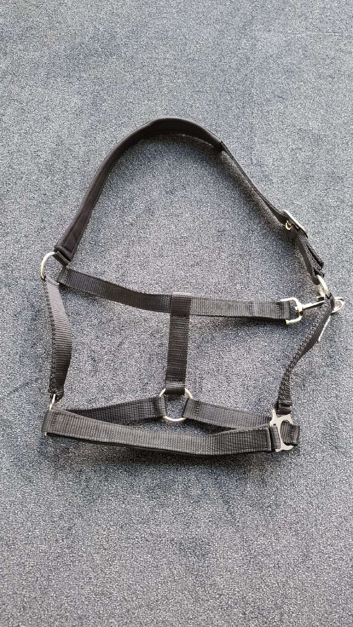 KANTRIE Halfter Meadow